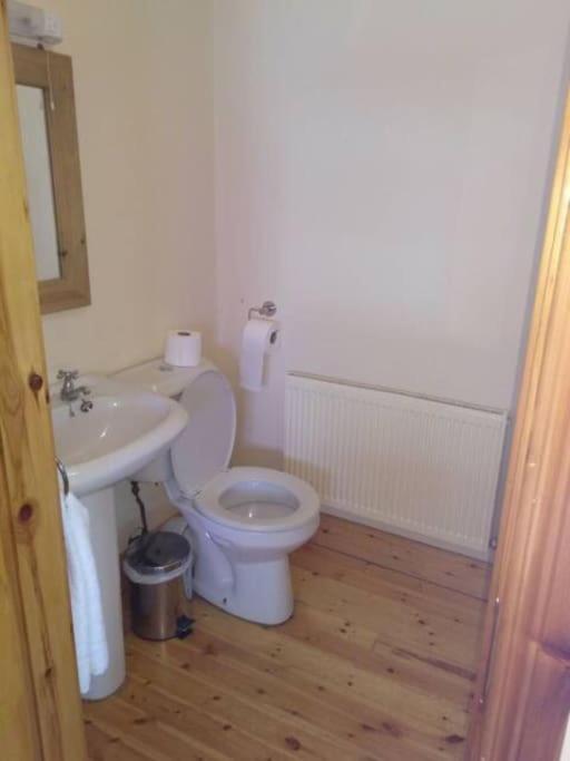 Townhouse 2 Barrow Lane Villa Carlow Buitenkant foto