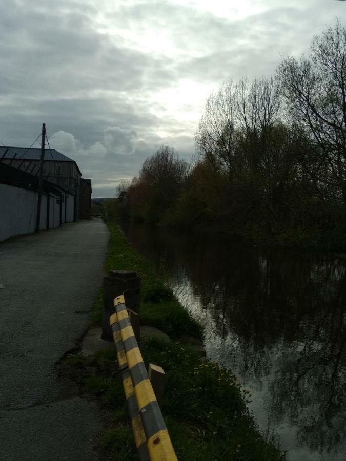 Townhouse 2 Barrow Lane Villa Carlow Buitenkant foto